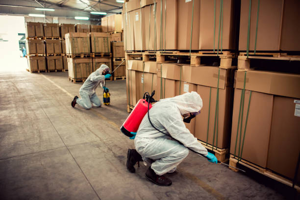 Best Flea Control Services  in Vineyard, CA