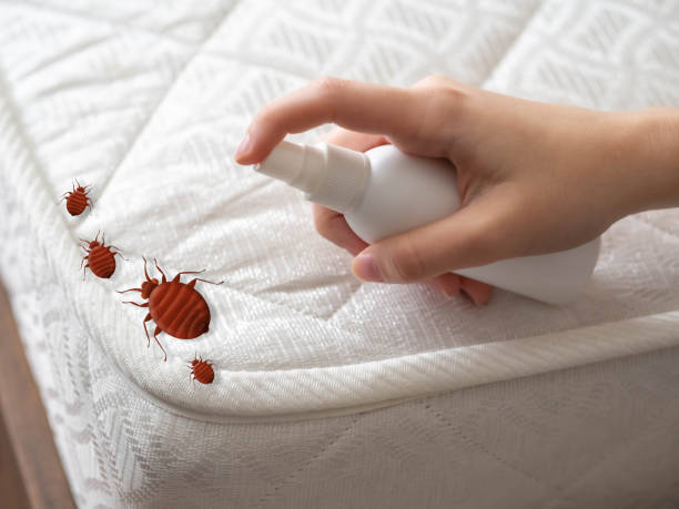 Best Pest Prevention Services  in Vineyard, CA